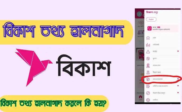 bikash-tothyo-halanagadh-korle-ki-hoy